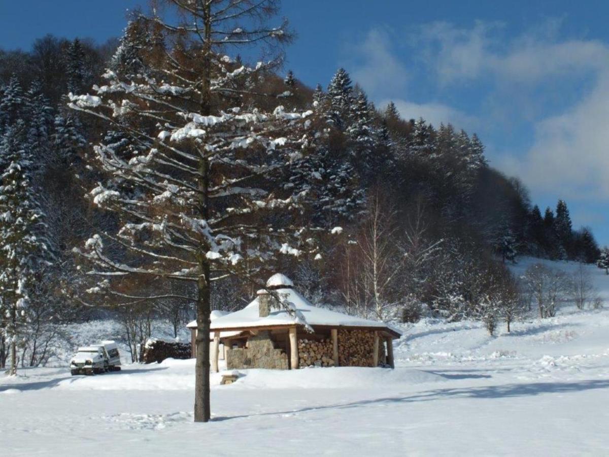 Perelka Bieszczady Domki 齐斯纳 外观 照片