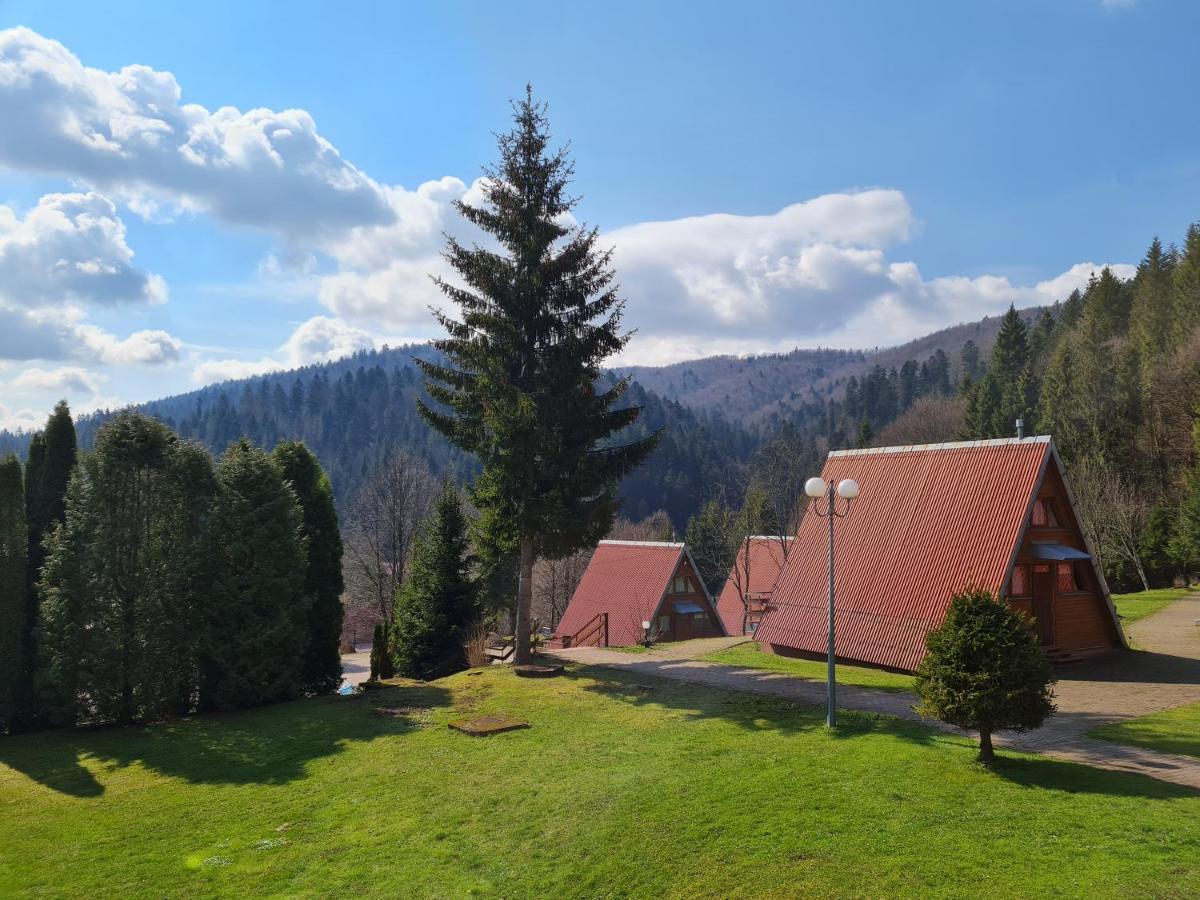 Perelka Bieszczady Domki 齐斯纳 外观 照片