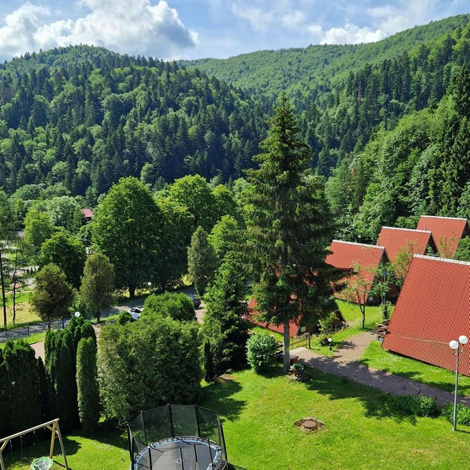 Perelka Bieszczady Domki 齐斯纳 外观 照片